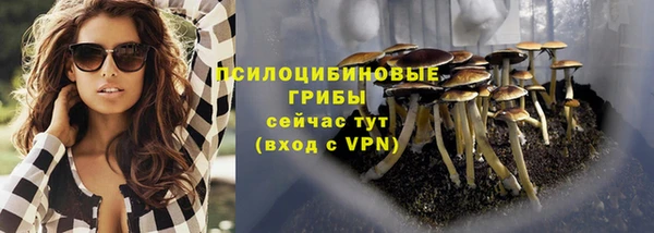 бошки Алексин