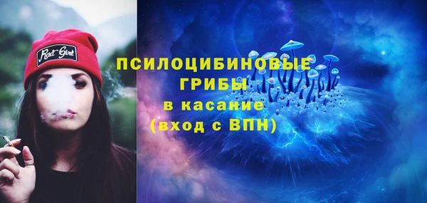 бошки Алексин