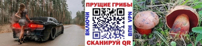 Галлюциногенные грибы MAGIC MUSHROOMS  Михайловск 